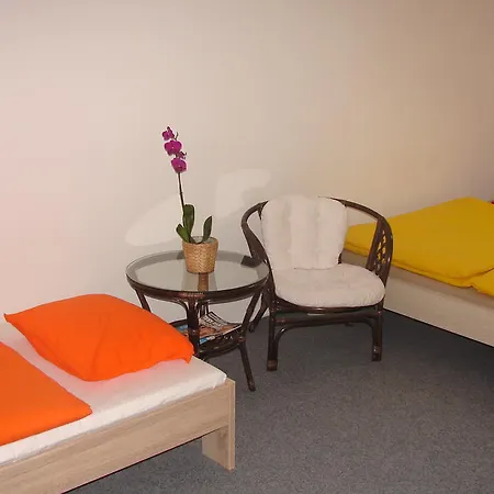 Pensión V Brne Brno