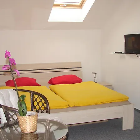 Pensión V Brne Brno